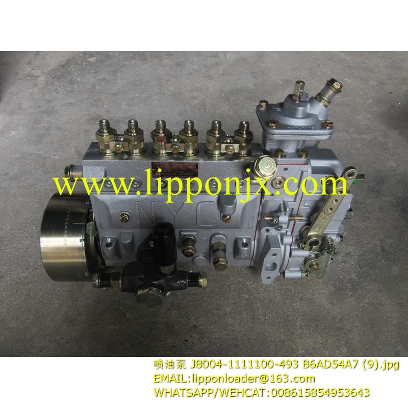 J8004-1111100-493, J8004-1111010A-493, J8004-11111 injection pump B6AD54A7 yuchai engine