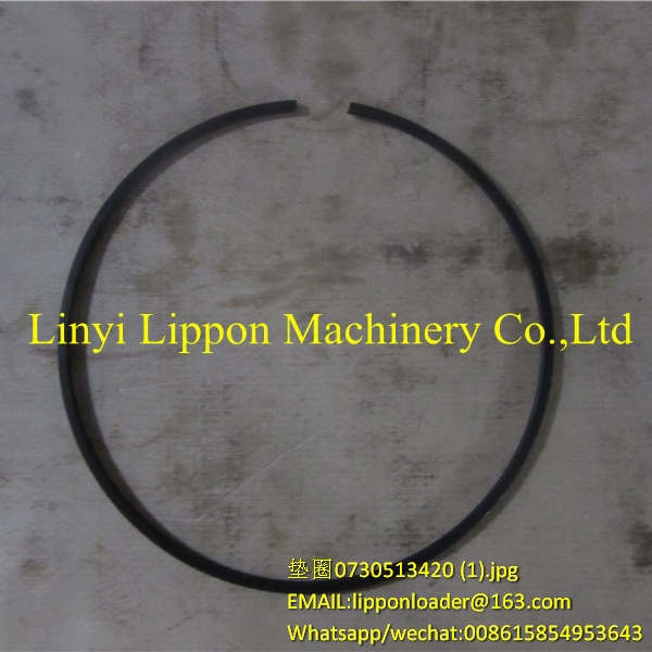 0730513420 SNAP RING 0730513419 0730513418 ZF TRANSMISSION PARTS