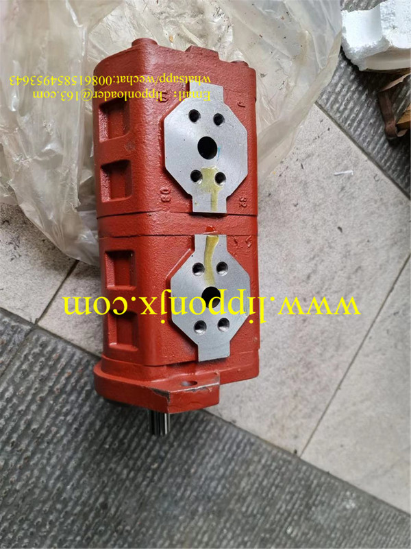 CBGJ1032/1032 High Pressure Gear Pump 20043057T Tiangong