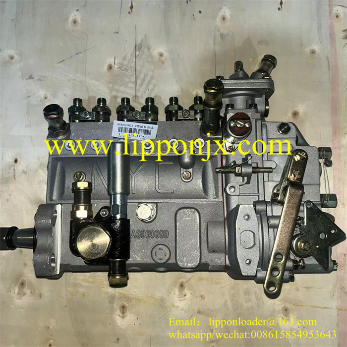 Weichai Fuel Injection Pump Assembly 13053061